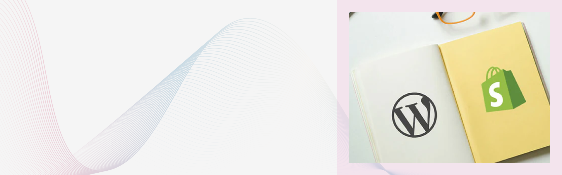 Steps to Transfer Your Domain from Wordpress to Shopify