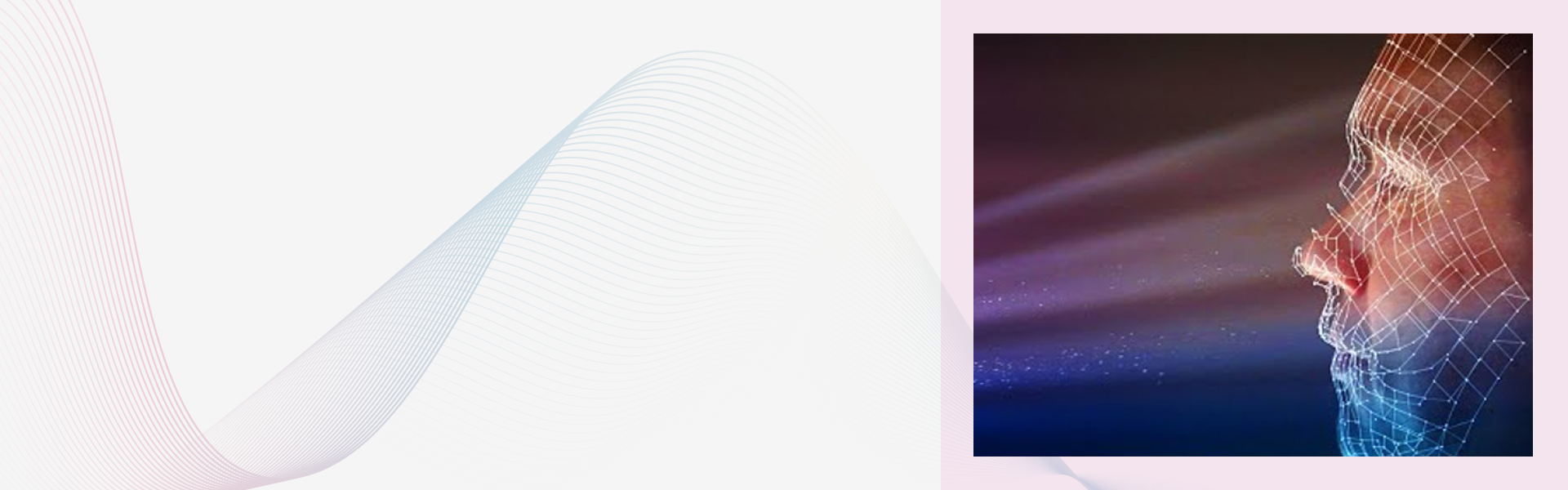 Boosting Face Recognition with a Multi-Model Detection Approach