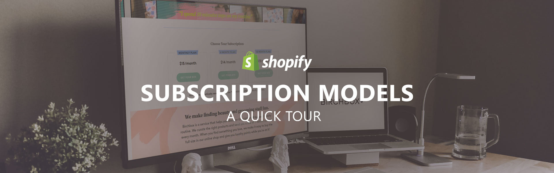 Shopify Subscription Models - A Quick Tour