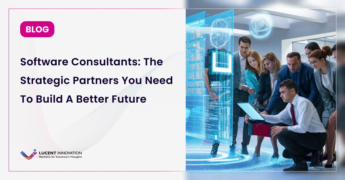 Software Consultants: What They Do and Why Do You Need Them? 